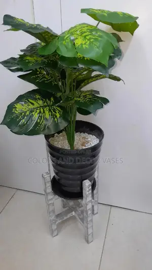 Plant,Stand and Vase Plus Pebble Stones