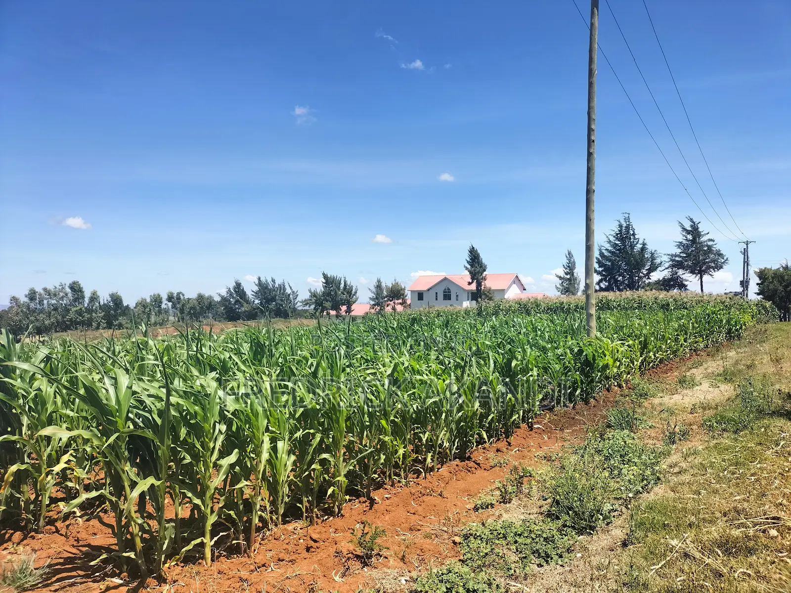 Property for Sale in Meru
