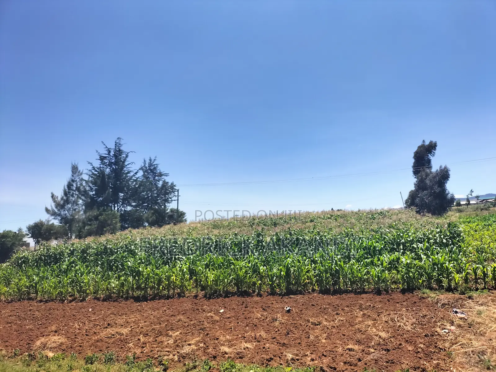 Property for Sale in Meru