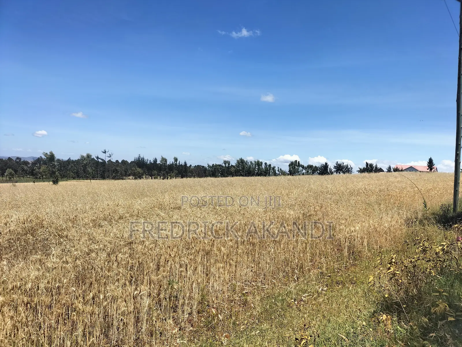 Property for Sale in Meru