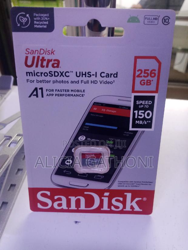256gb Sandisk Ultra Micro Sdxc