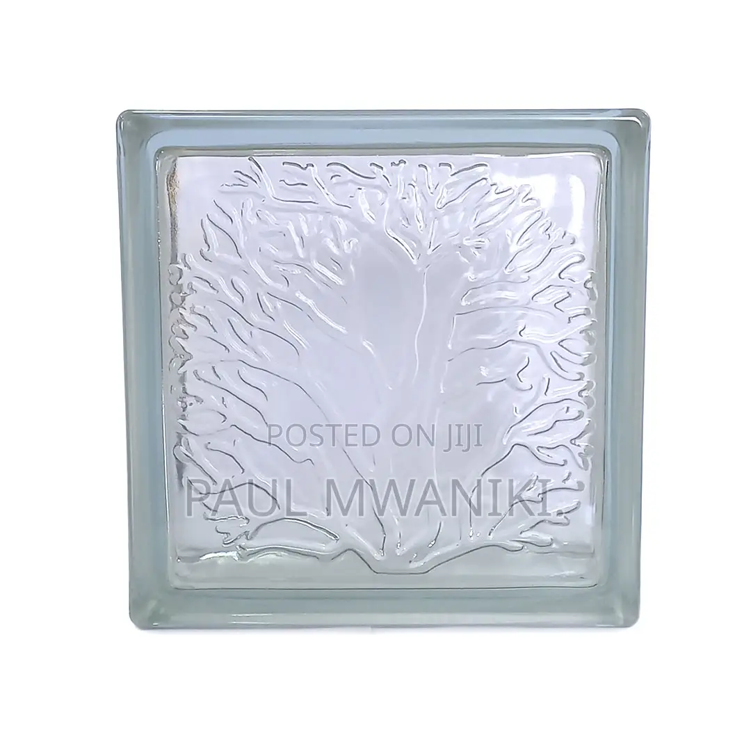 Coral Clear Glass Blocks