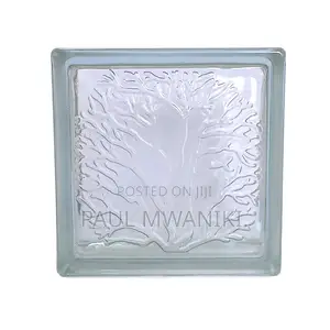 Coral Clear Glass Blocks