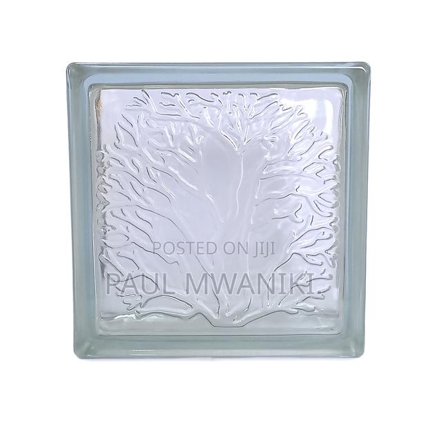 Coral Clear Glass Blocks