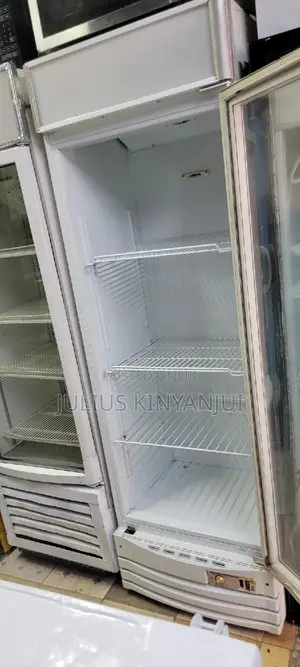 Display Fridge 450l Frestech