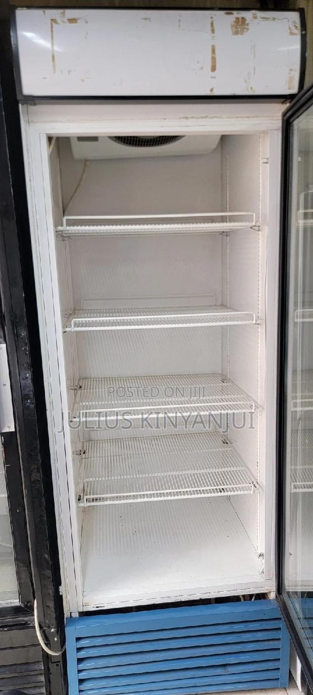 Display Fridge 500L - main view