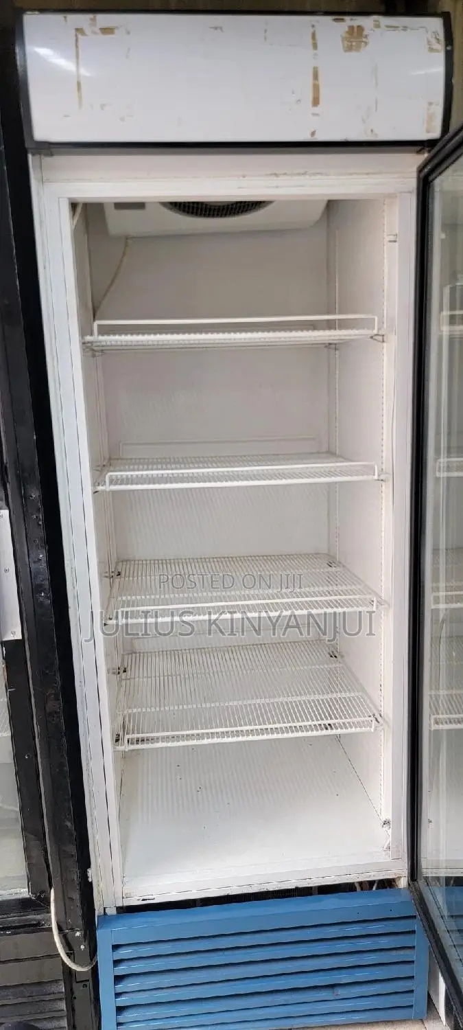Display Fridge 500L