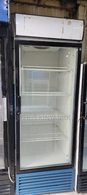 Display Fridge 500L