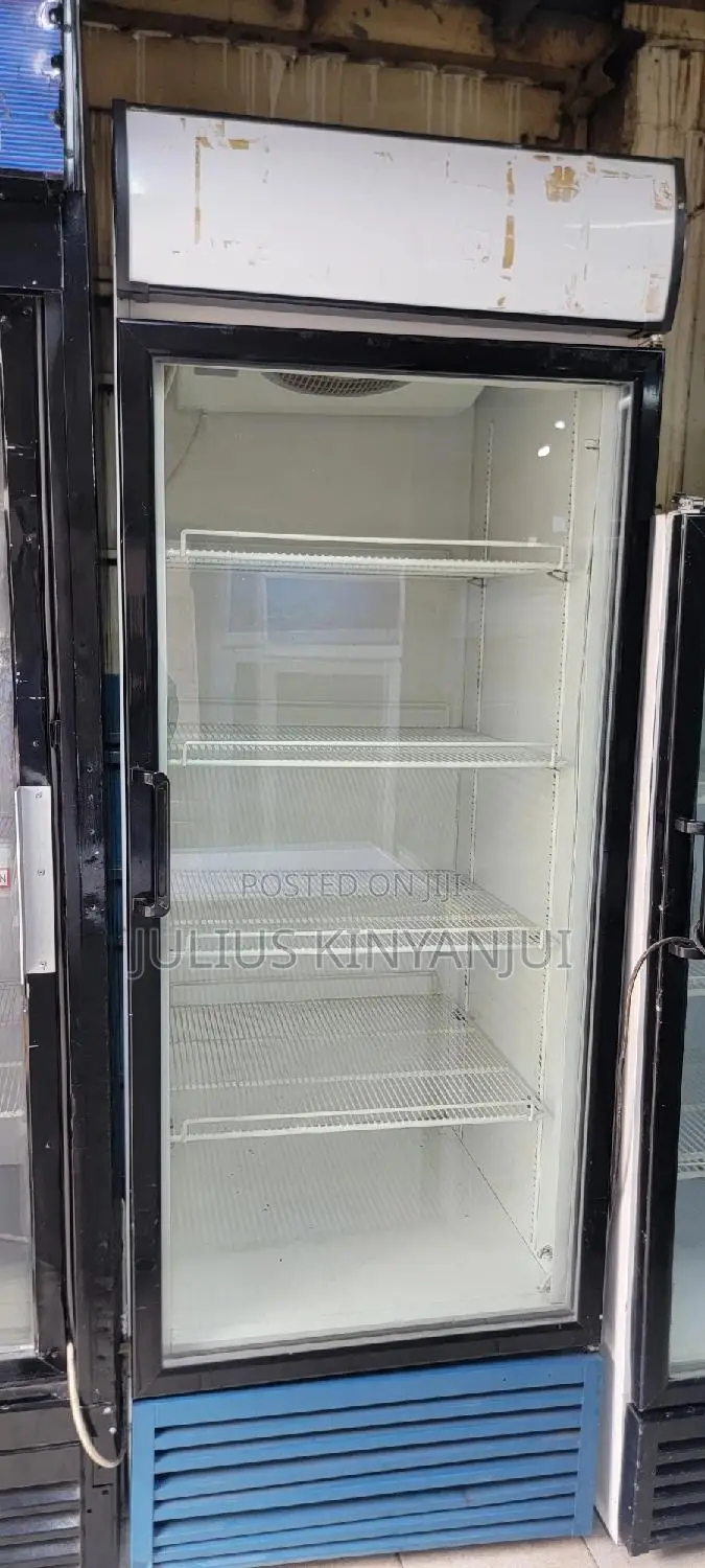 Display Fridge 500L