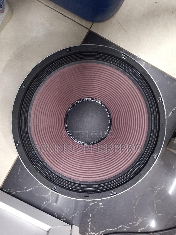 Derwel 15AH153 Mid Range Naked Speaker