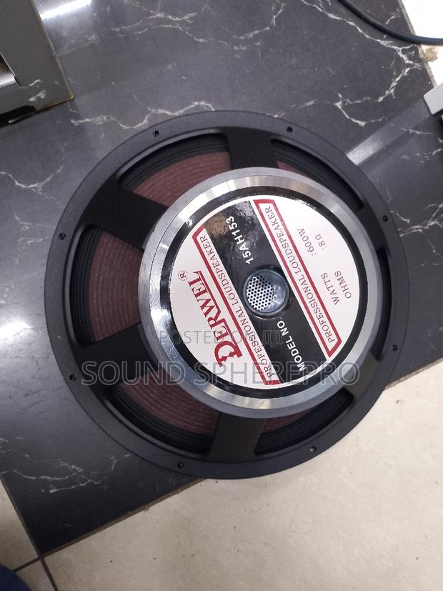 Derwel 15AH153 Mid Range Naked Speaker - thumbnail 2