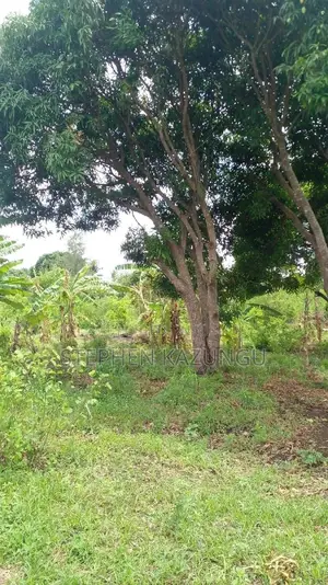 6.5 Acres Treasure at Kinondo Only 200 Metres From Tarmac