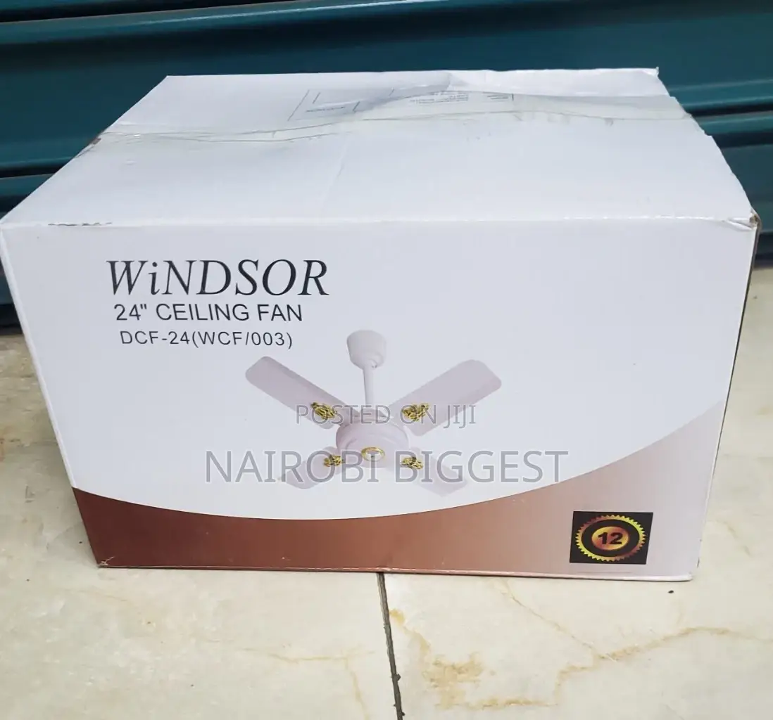 Windor 24" Ceiling Fan