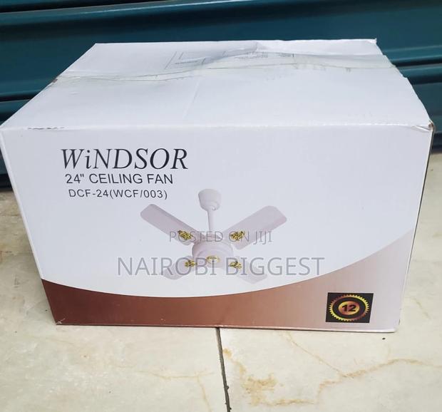 Windor 24" Ceiling Fan - main view