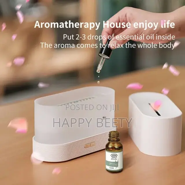 *3D Flame Aromatherapy Air Humidifier/Diffuser