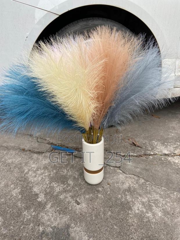 Pampas Grass Stem