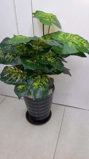 Yellow Green Monstera, Plastic Vase and Pebble Stones - thumbnail 2