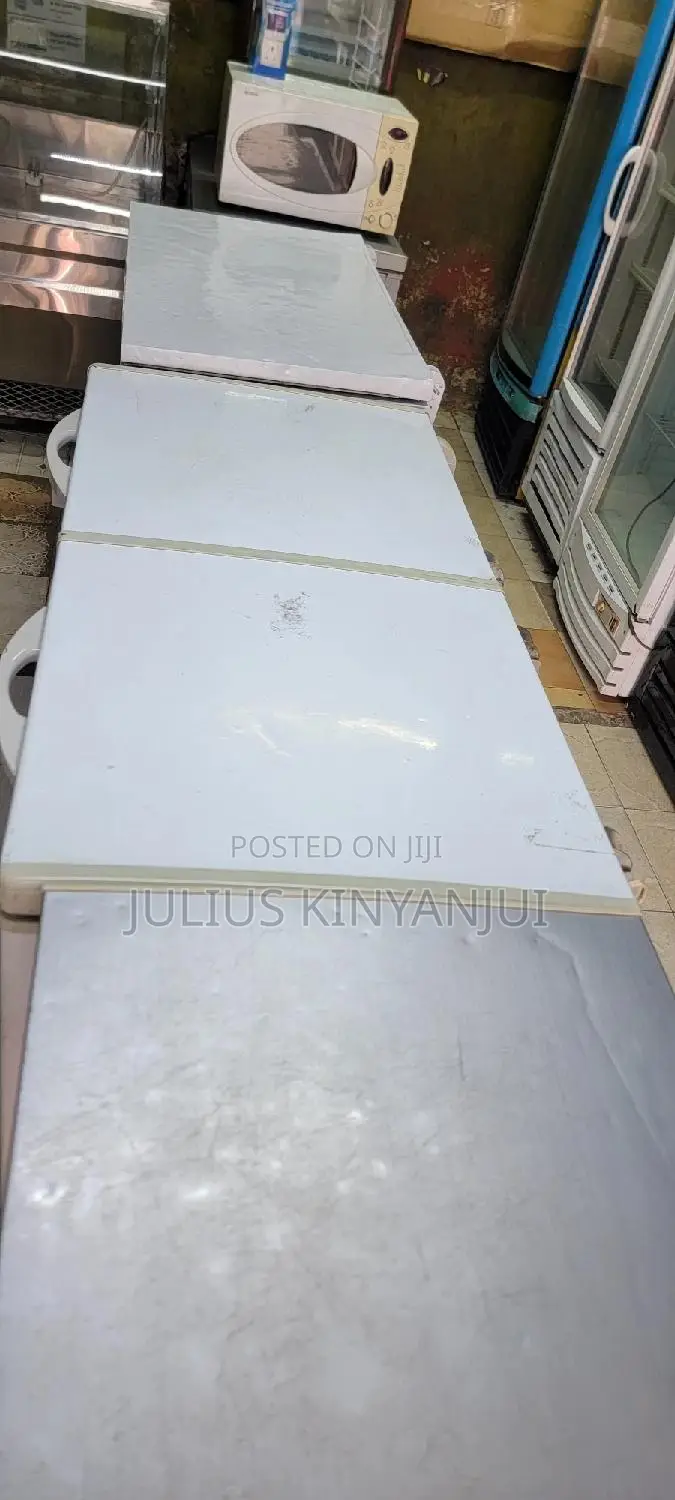 Double Door Freezer 500L
