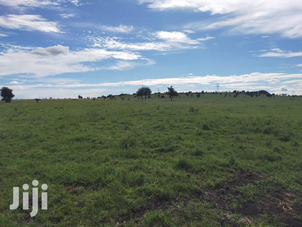 9acres Kitengela Ostrich Farm Price Per Acre