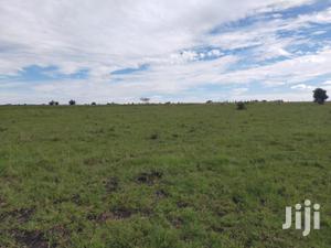 9acres Kitengela Ostrich Farm Price Per Acre