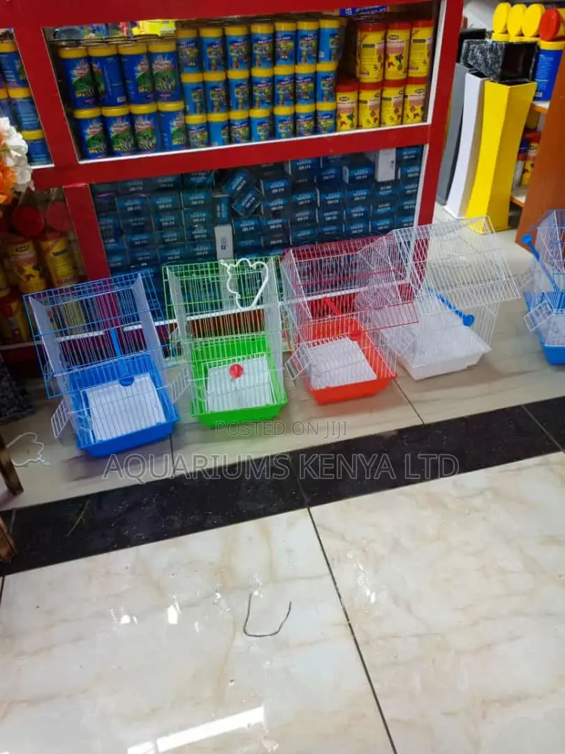 White,Red,Green Bird Cages,Cages for Birds