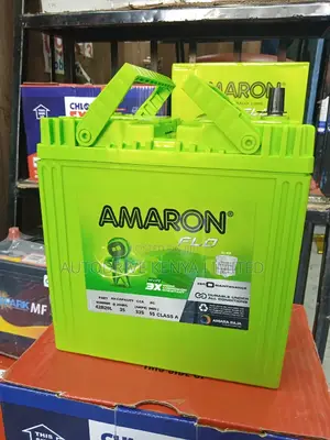 NS40L Amaron Battery