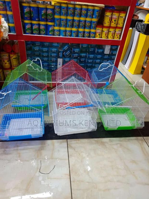 Spacious Budgies and Lovebird Cages,Cages for Birds - main view