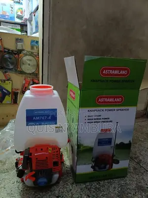 Gasoline Knapsack Sprayer 4stroke.