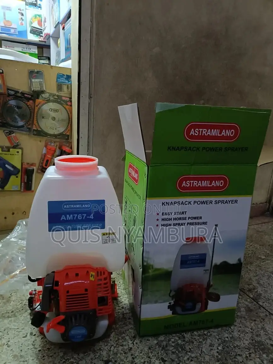 Gasoline Knapsack Sprayer 4stroke.