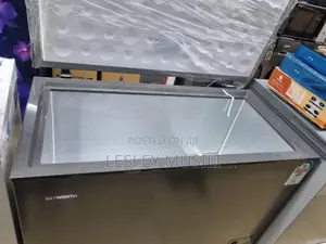Skyworth BD-320 265L Chest Freezer