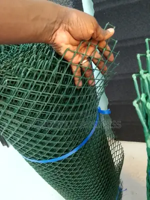 Plastic Chicken Wire Mesh