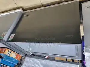 Skyworth BD-320 265L Chest Freezer