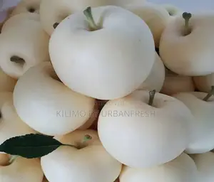 White Apple Fruit Seedling
