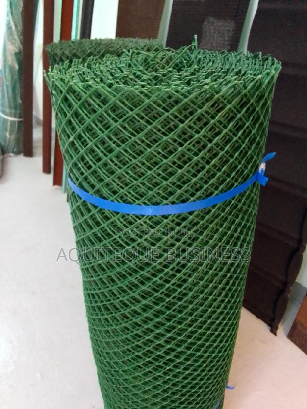 Green Chicken Wire. - main view