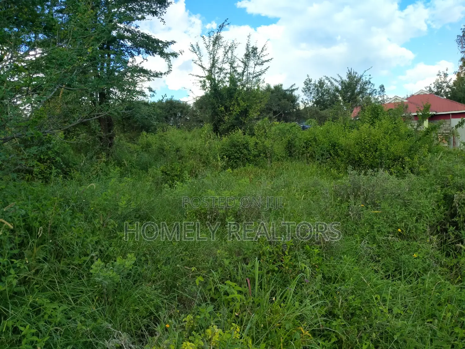 Quarter Acre Plot in Ongata Rongai, Nkoroi at Kanisani Area