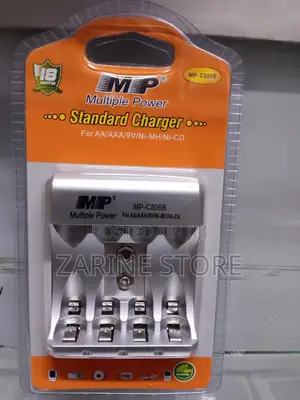Multiple Power Charger for AA, AAA, 3000mah Batteries