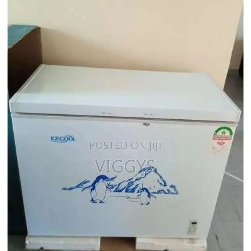 Ice Cool Freezer 169