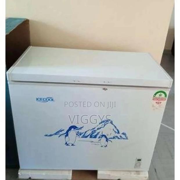 Ice Cool Freezer 169