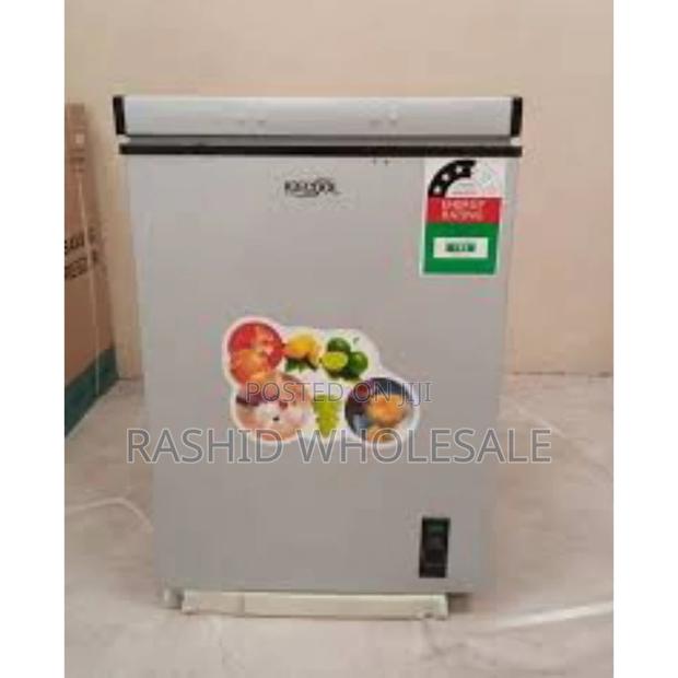 Ecomax *109 L Freezer - main view