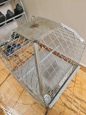 Steel Cage for African Grey Parrots - thumbnail 2