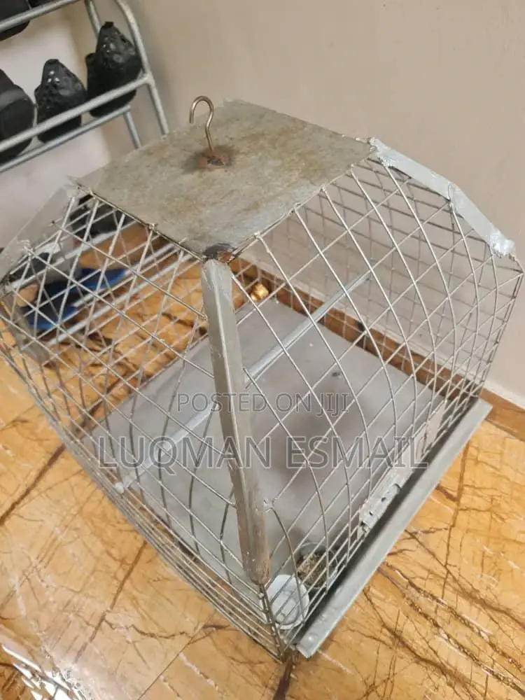 Steel Cage for African Grey Parrots
