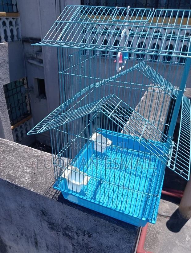 Small Cages - main view