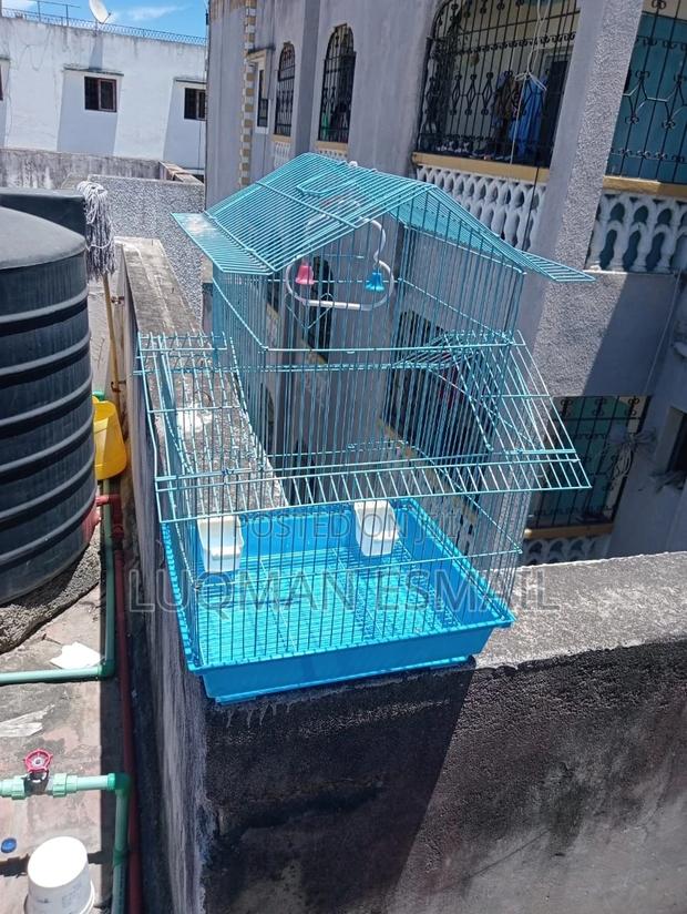 Small Cages - thumbnail 3