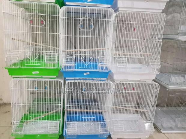 Double Cages - main view