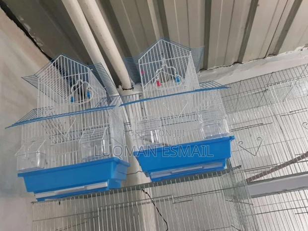 Double Cages - thumbnail 3