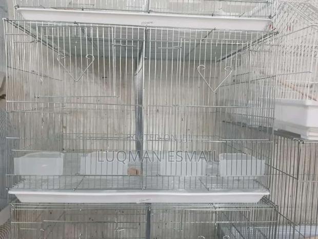 Double Cages - thumbnail 4