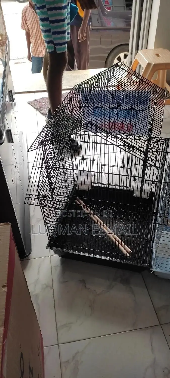 Good Size Cages for Budgies and Love Birds
