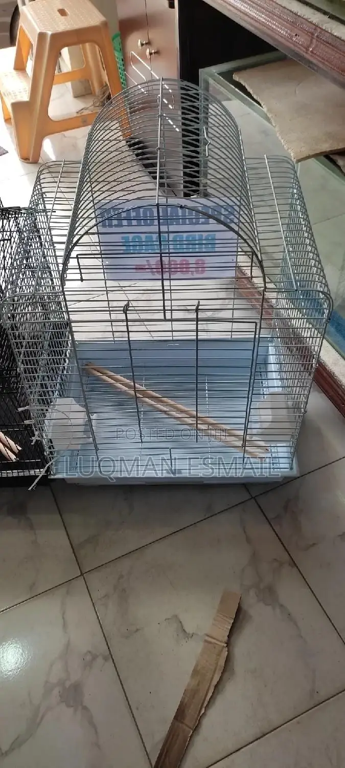 Good Size Cages for Budgies and Love Birds