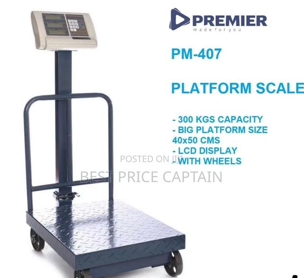 Premier Scale- 300 Kg - main view