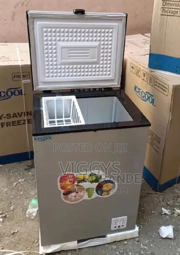 Ice Cool Freezer 109